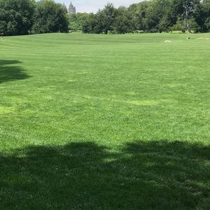 Meet your Posher, Ted